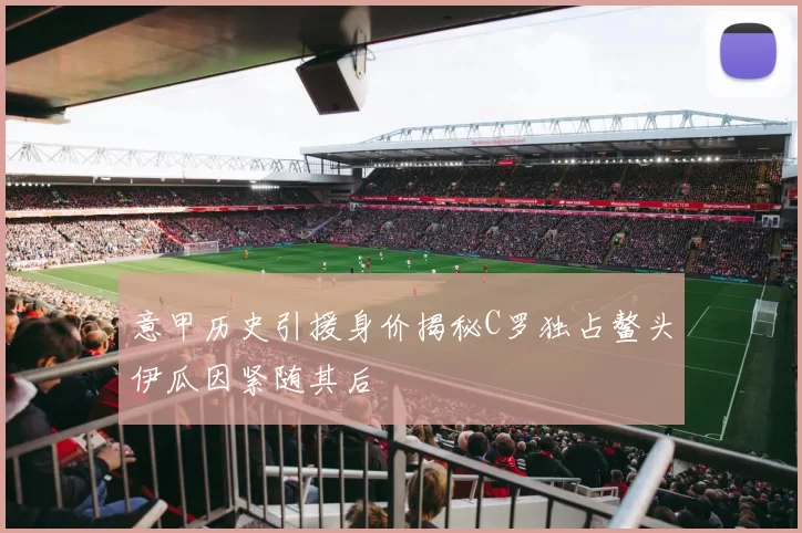 意甲历史引援身价揭秘C罗独占鳌头伊瓜因紧随其后
